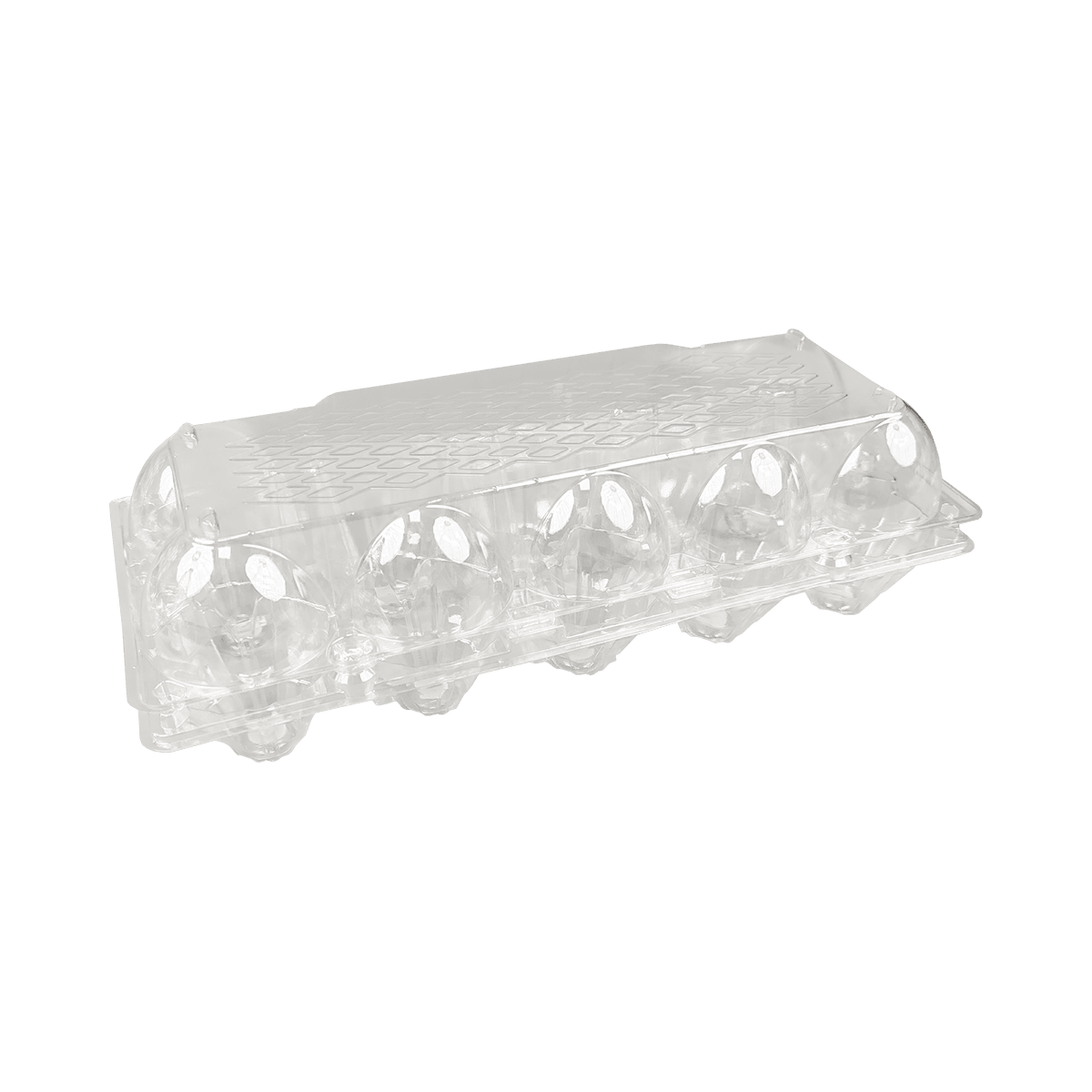 PET透明環保10個雞蛋紙箱，適合野餐和旅行儲存